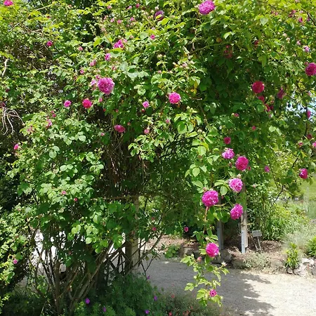 Anna Mit Innenpoolnutzung Bad Wörishofen