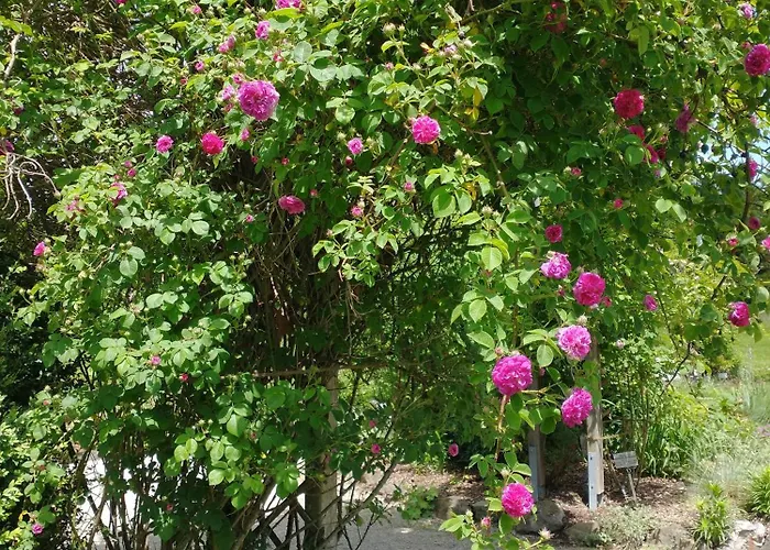 Anna Mit Innenpoolnutzung Bad Worishofen